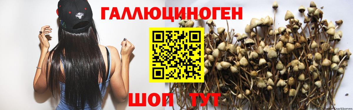 Ульяновск  Галлюциногенные грибы Psilocybine cubensis  Вход с VPN 