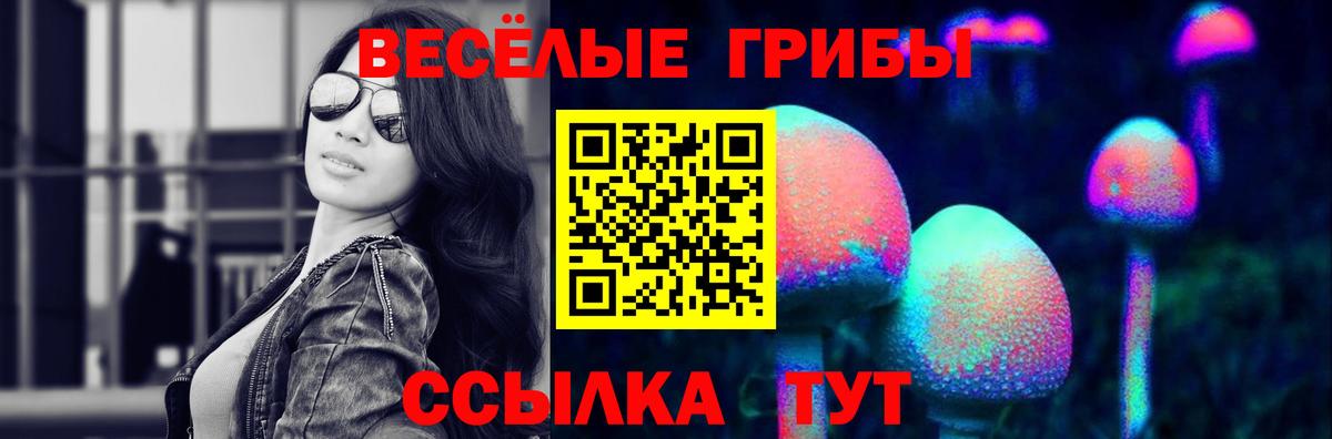 Галлюциногенные грибы мицелий Ульяновск